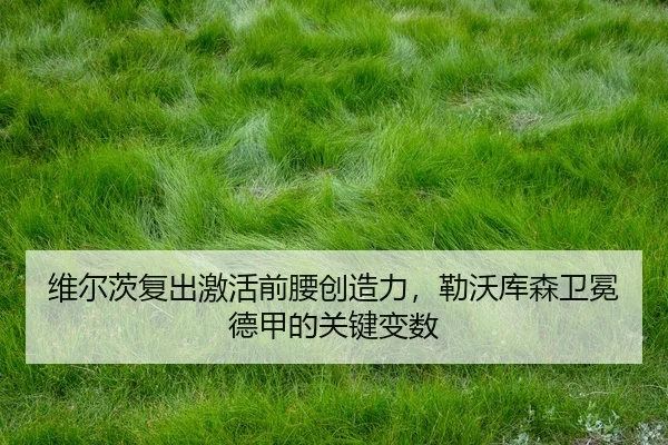 wei-er-ci-fu-chu-ji-huo-qian-yao-chuang-zao-li-lei-wo-ku-sen-wei-mian-de-jia-de-guan-jian-bian-shu-3-530.jpg