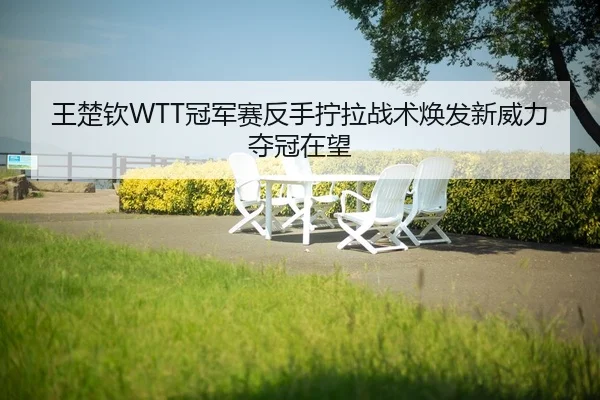 wang-chu-qin-guan-jun-sai-fan-shou-ning-la-zhan-shu-huan-fa-xin-wei-li-duo-guan-zai-wang-2-375.jpg