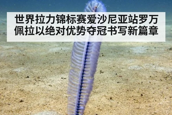 世界拉力锦标赛爱沙尼亚站罗万佩拉以绝对优势夺冠书写新篇章