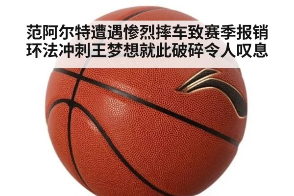 范阿尔特遭遇惨烈摔车致赛季报销 环法冲刺王梦想就此破碎令人叹息